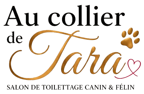 Logo Au collier de Tara, salon de toilettage canin et félin à Tarcienne